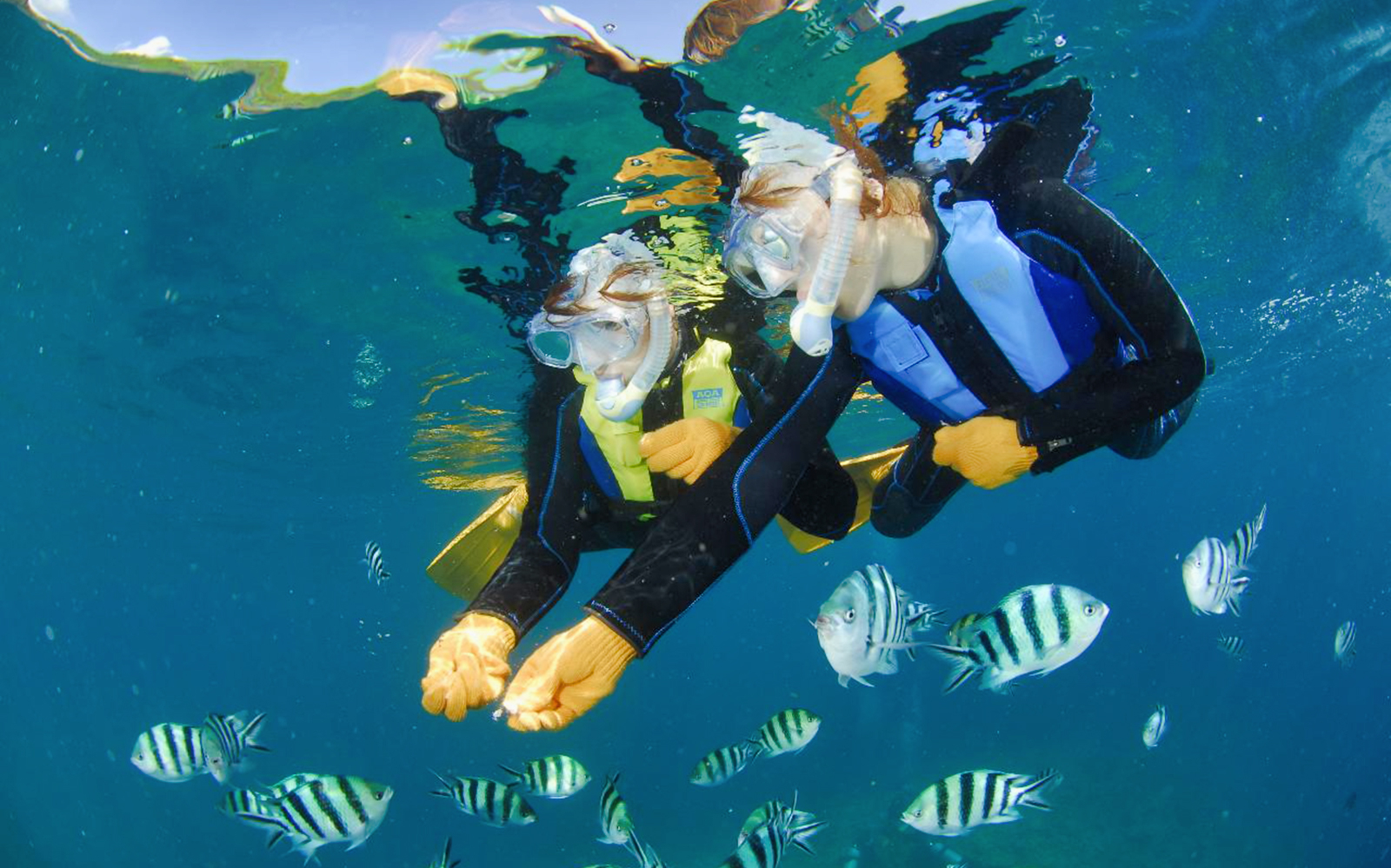 Moreton Island Tours, Activities, Day Tours – XNCUC